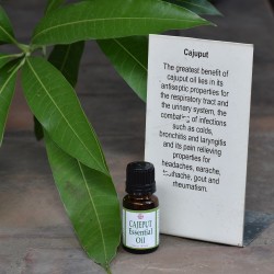 Cajuput Essential Oil