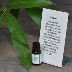 Camphor Essential Oil