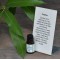 Camphor Essential Oil