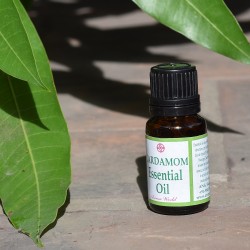 Cardamom Essential Oil