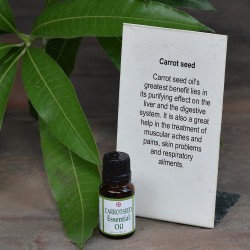 Carrot Seed Essential Oil
