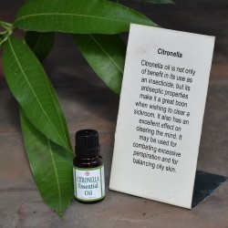 Citronella Essential Oil