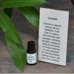 Cornmint (Japmint) Essential Oil