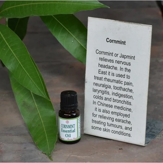 Cornmint (Japmint) Essential Oil Cornmint (Japmint) Essential Oil