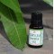 Curry Leaf Essential Oil