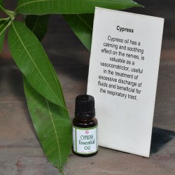 Cypress Essential Oil