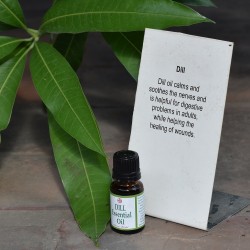 Dill Essential Oil