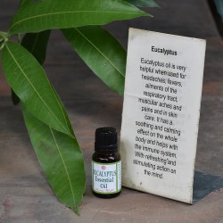 Eucalyptus Essential Oil