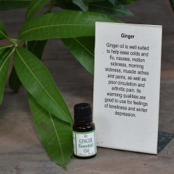 Ginger Essential Oil