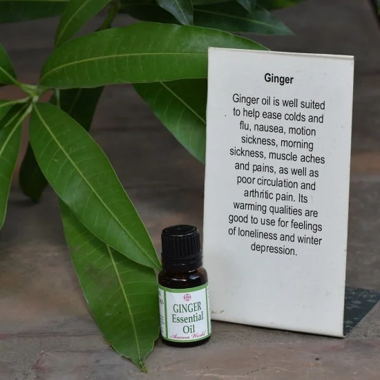 Ginger Essential Oil Ginger Essential Oil