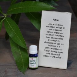 Juniper Essential Oil