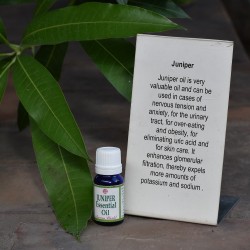 Juniper Essential Oil
