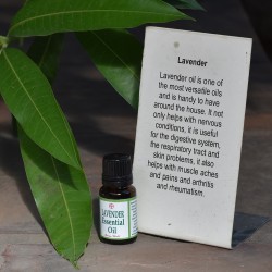Lavender Essential Oil