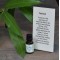 Patchouli Essential Oil