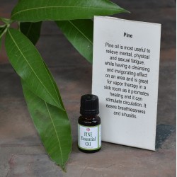Pine Essential Oil