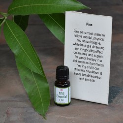 Pine Essential Oil