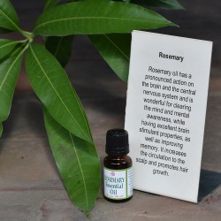 Rosemary Essential Oil