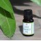 Sage Essential Oil