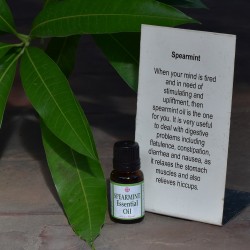 Spearmint Essential Oil