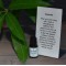 Spearmint Essential Oil