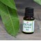 Spikenard Essential Oil