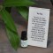 Tea Tree Essential Oil