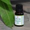 Vetiver Essential Oil