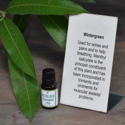 Wintergreen Essential Oil