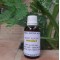 Sweet Almond Carrier Oil