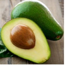 Avocado Carrier Oil Avocado Carrier Oil