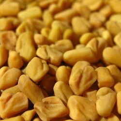 Fenugreek Carrier Oil Fenugreek Carrier Oil