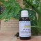 Moringa Carrier Oil