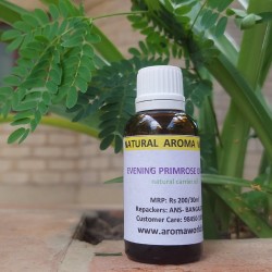 Evening Primrose Carrier Oil Evening Primrose Carrier Oil