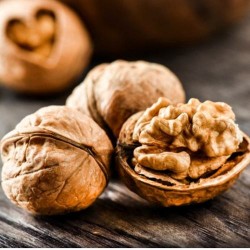 Walnut Carrier Oil Walnut Carrier Oil