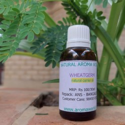 Wheatgerm Carrier Oil Wheatgerm Carrier Oil
