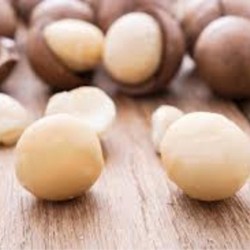 Macadamia Carrier Oil Macadamia Carrier Oil