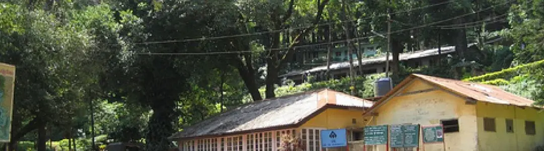 Kemmangundi – The Journey